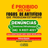 Denuncie pelo whatsapp e ajude a promover uma cidade mais ordeira