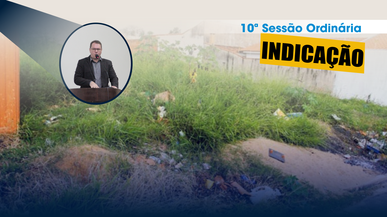 INDICAÇÃO - criação de lei para regulamentação, fiscalização e manutenção de lotes baldios